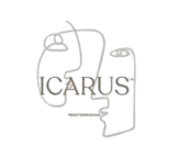 pl-9-removebg-preview